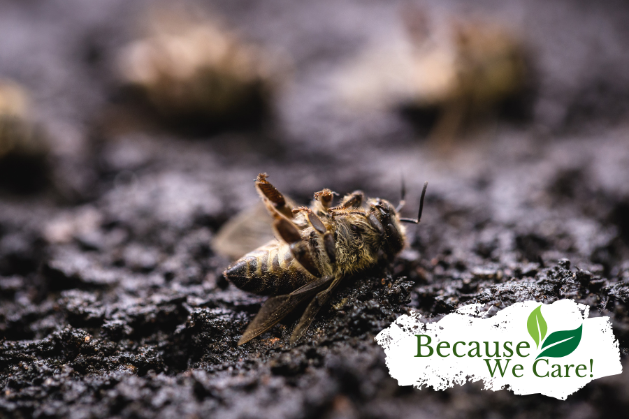 How Honey Bee Colony Losses Affect Our Farms and Future