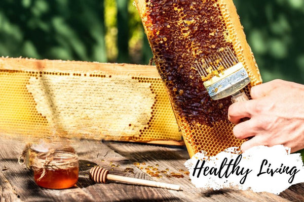 How is natural honey harvested: the fun sticky times?