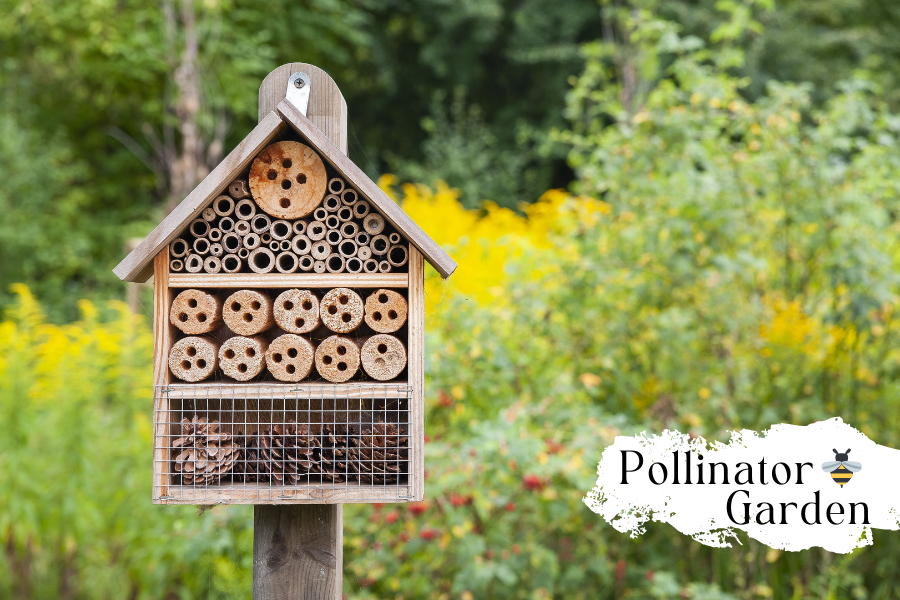 bee hotel