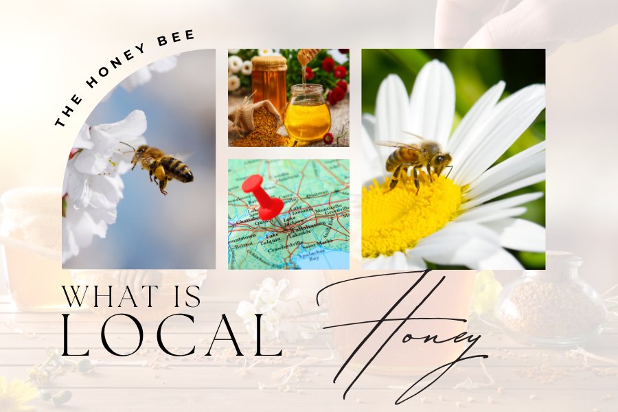 What is Local Honey…or are they Wrong "Regional Honey" - Huckle Bee Farms LLC