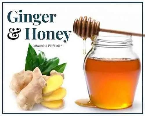1/2 Lb Ginger Infused Honey - Gift Set