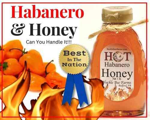 1/2 Lb Habanero  Infused Honey - Gift Set