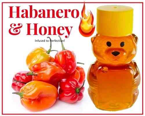 2 oz Sample Habanero Honey