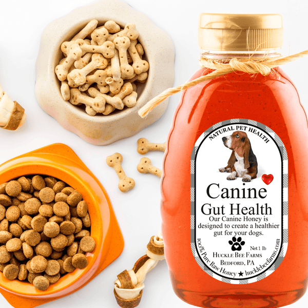 Dog Allergy Relief Honey with Natural Ingredients placed beside dog biscuits and kibble, ideal for supporting digestive health in dogs.
