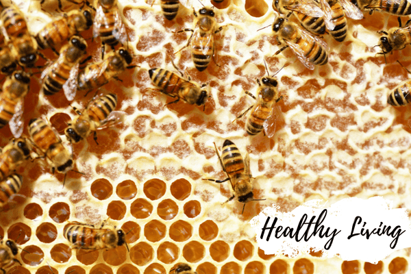 100% Pure Raw Honey: A Bee-Made Marvel that's Amazing - Huckle Bee Farms LLC