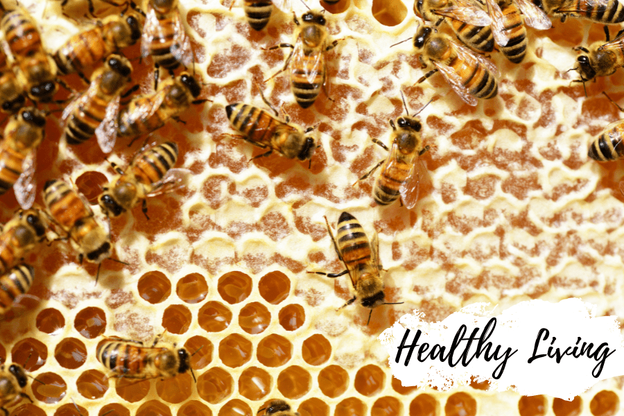 100% Pure Raw Honey: A Bee-Made Marvel that's Amazing - Huckle Bee Farms LLC