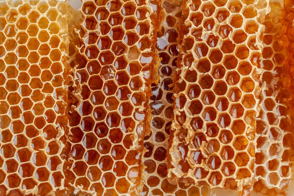 Honeycomb With Fresh Honey