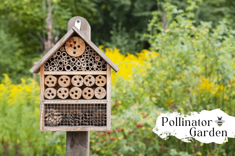 Bee Hotels & Butterfly Havens: How to Create a Pollinator Paradise - Huckle Bee Farms LLC