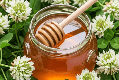 Clover Honey: Your Go-To for Classic Honey Flavor