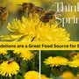 Dandelions: Essential for Honey Bee Pollinators - Huckle Bee Farms LLC