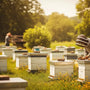 From Our Hive to Your Home: The Huckle Bee Farms Story - Huckle Bee Farms LLC