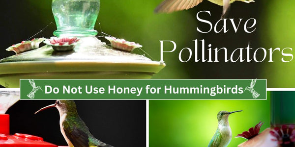 Homemade Hummingbird Nectar, Honey is a No No... - Huckle Bee Farms LLC