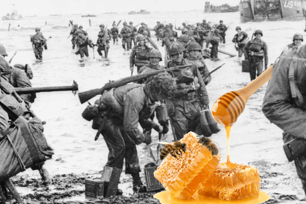 Honey Bee Heroes: Discover How They Shaped WWII History - Huckle Bee Farms LLC