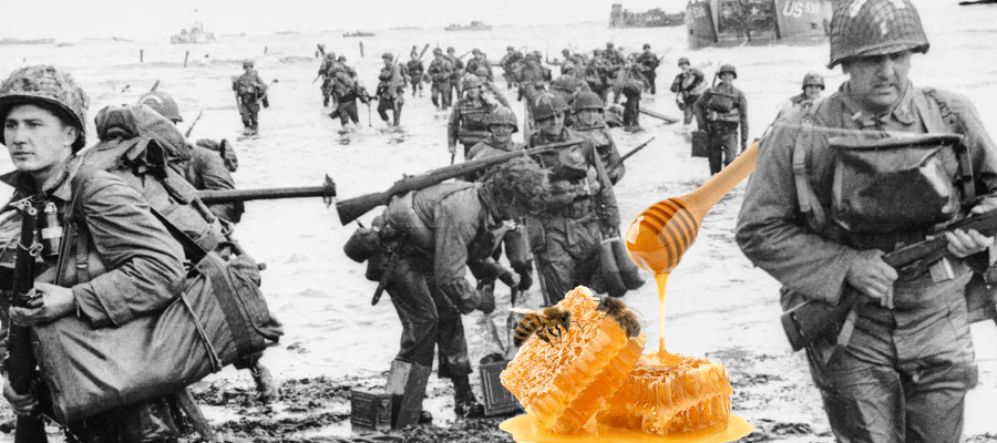 Honey Bee Heroes: Discover How They Shaped WWII History - Huckle Bee Farms LLC