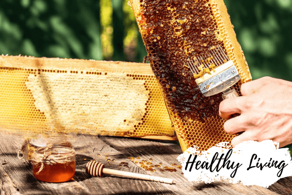 How is natural honey harvested: the fun sticky times? - Huckle Bee Farms LLC