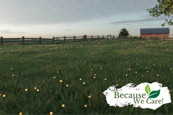 fireflies in a farm field