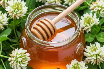 Raw Clover Honey Wellness Booster - Huckle Bee Farms.