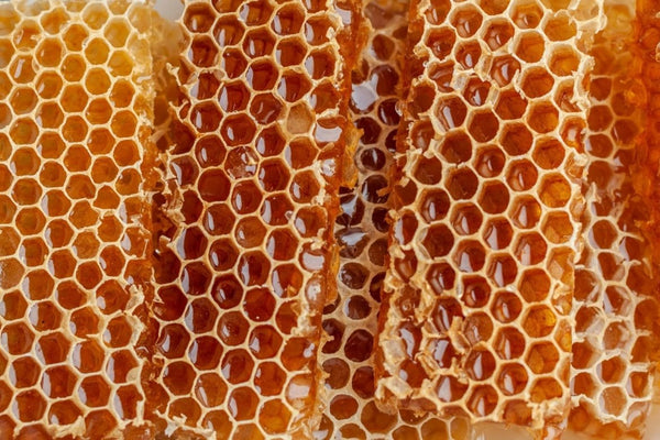 Is Honey Good For You? Health Benefits And Myths Explained - Huckle Bee Farms LLC
