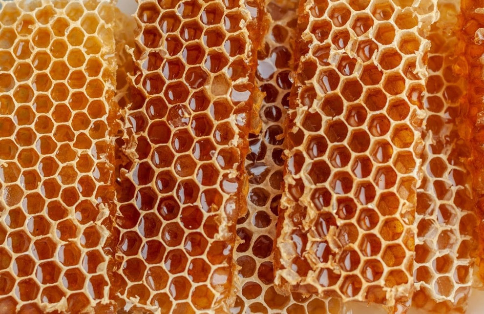 Is Honey Good For You? Health Benefits And Myths Explained - Huckle Bee Farms LLC