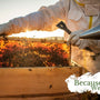Natural, Chemical-Free Beekeeping - Huckle Bee Farms LLC