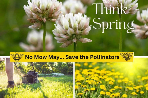 "No Mow May": Embrace Saving the Pollinators! - Huckle Bee Farms LLC