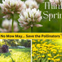 No Mow, More Beauty: Embracing a Wilder, Greener Landscape This May - Huckle Bee Farms LLC