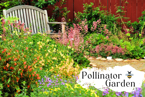 Pollinator Garden