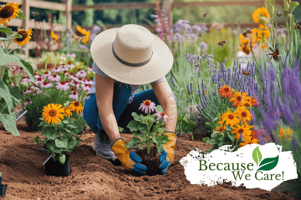 Pollinator Garden: 5 Easy Plants You Can Grow - Huckle Bee Farms LLC