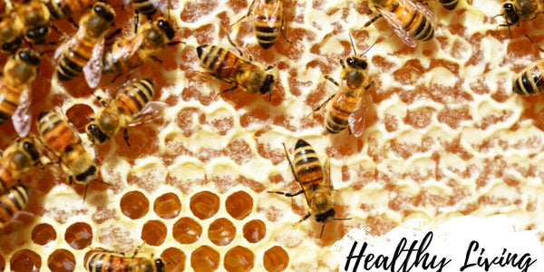 Raw Honey: A Bee-Made Marvel - Huckle Bee Farms LLC