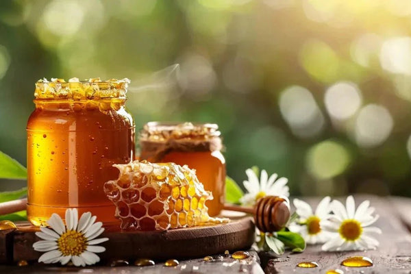 Raw Honey vs. Regular Honey: What's the Difference? - Huckle Bee Farms LLC