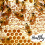 100% Pure Raw Honey: A Bee-Made Marvel that's Amazing - Huckle Bee Farms LLC