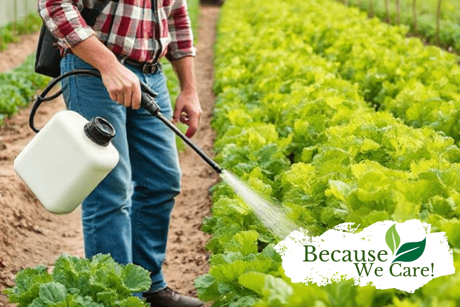 Say No to Pesticides: Safe Alternatives for a Pollinator - Huckle Bee Farms LLC