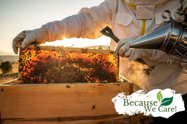 Sustainable Beekeeping: Embracing Nature Without Chemicals or Antibiotics - Huckle Bee Farms LLC