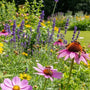 Sustainable Beekeeping Practices for Colony Survival in 2026 - Huckle Bee Farms LLC