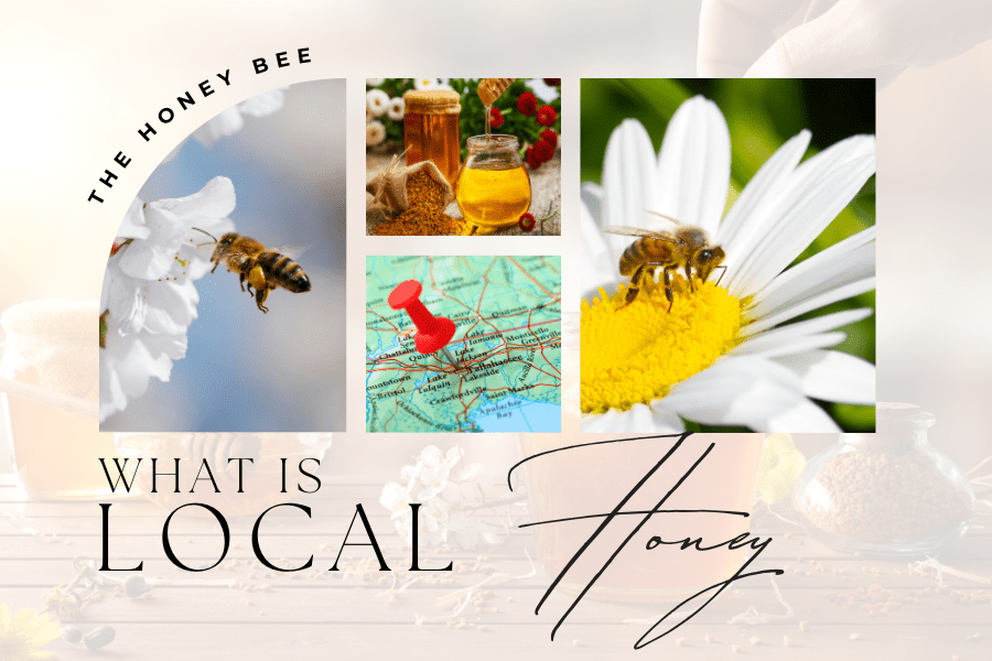 What is Local Honey…or are they Wrong 
