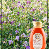 1 Lb Alfalfa Honey - Gift Set - Huckle Bee Farms LLC