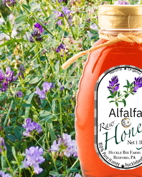 1 Lb Alfalfa Honey - Gift Set - Huckle Bee Farms LLC