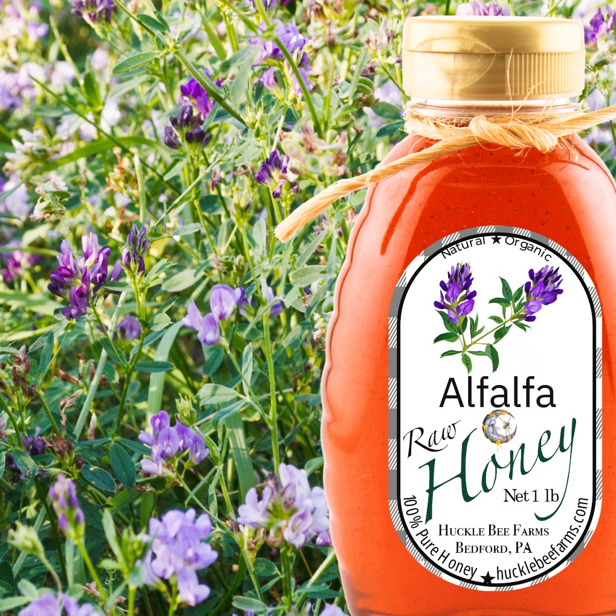 1 Lb Alfalfa Honey - Gift Set - Huckle Bee Farms LLC