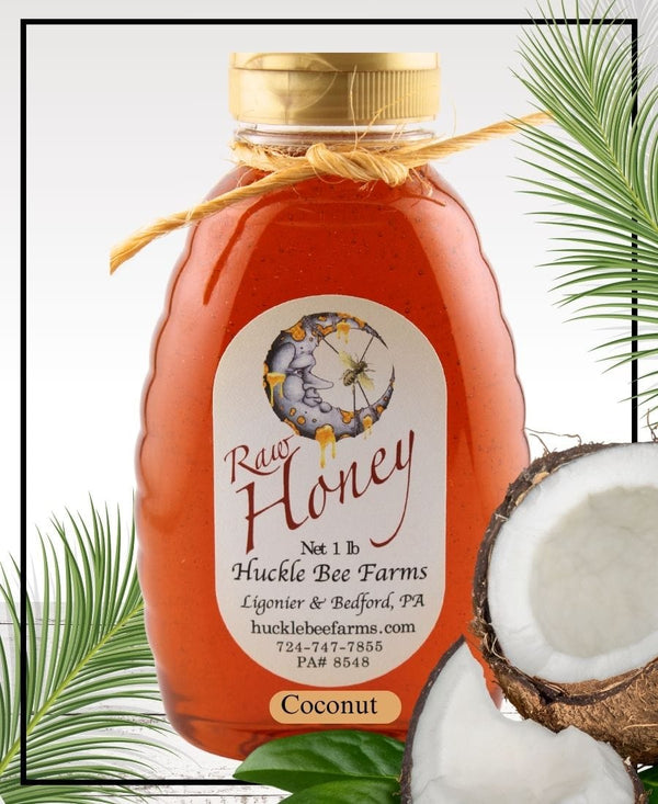 1 Lb Coconut Infused Honey - Gift Set