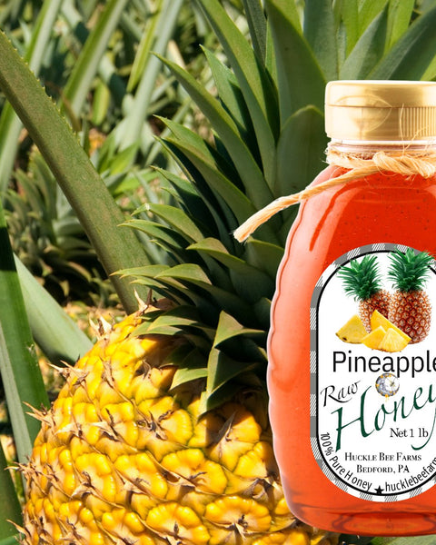 1 Lb Pineapple Infused Honey - Gift Set - Huckle Bee Farms LLC