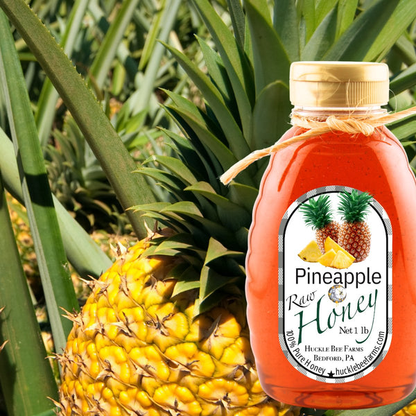 1 Lb Pineapple Infused Honey - Gift Set - Huckle Bee Farms LLC