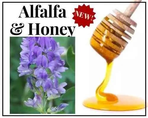 1/2 Alfalfa Honey - Gift Set