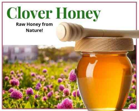 1/2 Lb Clover Honey - Gift Set - Huckle Bee Farms LLC