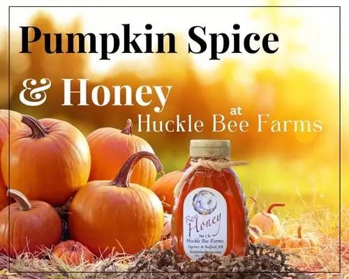 1/2 Lb Pumpkin Spice Honey - Gift Set - Huckle Bee Farms LLC