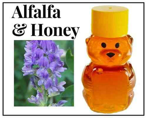 2 oz Sample Alfalfa Infused Honey - Huckle Bee Farms LLC