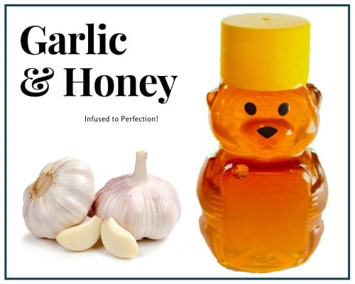 2 oz Sample Garlic Infused Honey - Huckle Bee Farms LLC