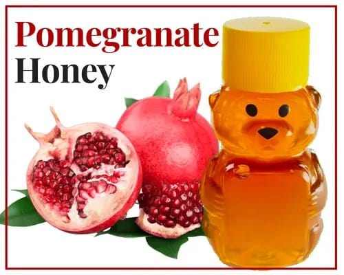 2 oz Sample Pomegranate Infused Honey - Huckle Bee Farms LLC