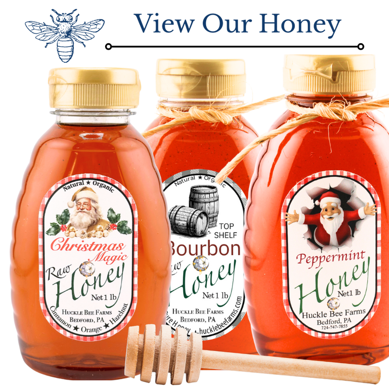 Three bottles of honey with labels featuring Santa Claus, accompanied by a honey dipper on a white background.