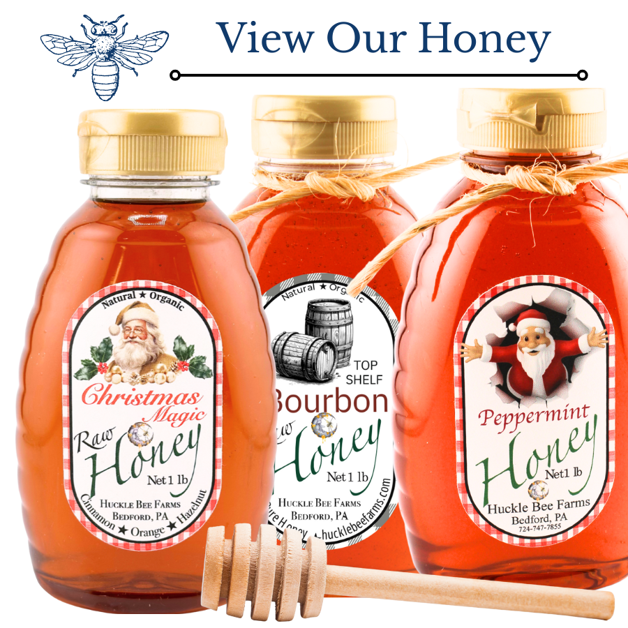 Three bottles of honey with labels featuring Santa Claus, accompanied by a honey dipper on a white background.