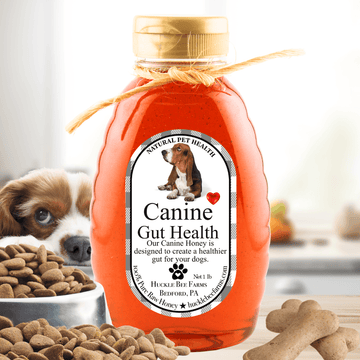 Dog Allergy Relief Honey with Natural Ingredients in a 1 lb bottle, shown with a puppy and dog treats for promoting canine gut health.